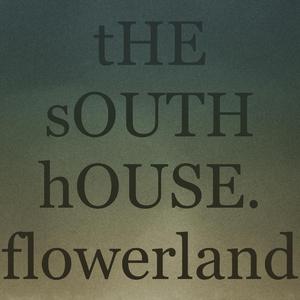 开往南京的火车上