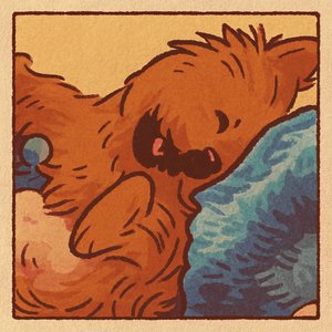 穏やかに眠っている פט