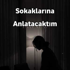 Sokaklarına Anlatacaktım