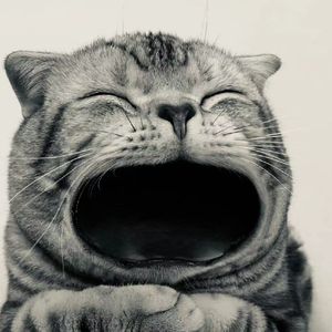 就这样离开（prod by Lakewavebeatz）