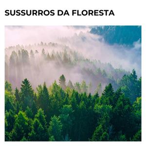 Neblina sobre o Vale