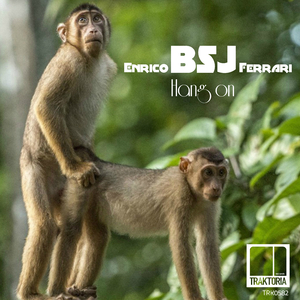 Hang On (Original Mix)