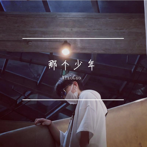 那个少年