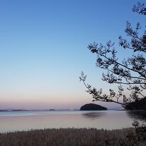 나로 돌아오는 밤