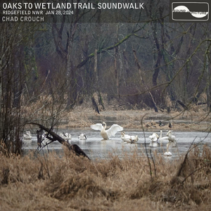 Part 9, Spirit of Cathlapotle