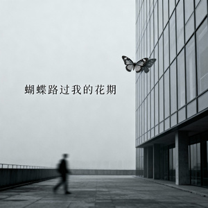 蝴蝶路过我的花期