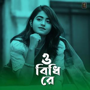 ও বিধি রে