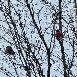 Стол и стул