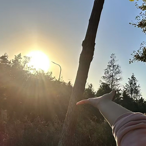 Get a New Lease of Life（枯木逢春）