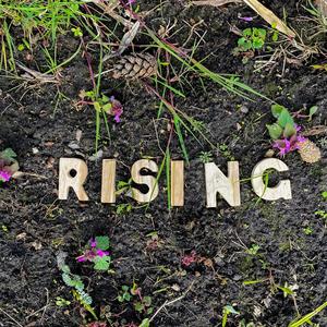 Rising