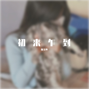 阿拉斯加的海湾