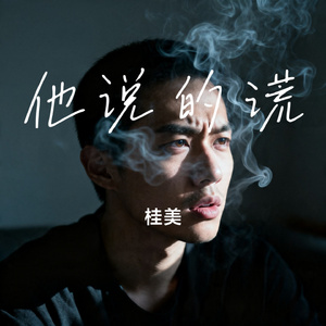 他说的谎