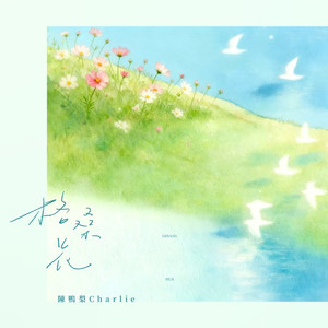 格桑花 (等格桑花开)