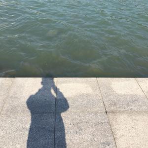 【FREE】 "Fall" (Prod. BigDonkeyyy)