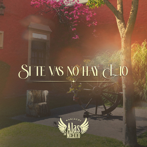Si Te Vas No Hay Lío