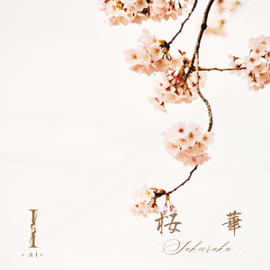 桜 華