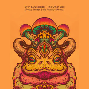 The Other Side (Petko Turner Bufo Alvarius Remix)