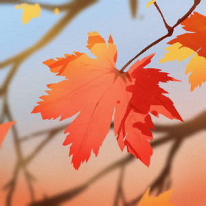 ハッピーエンディング (Acoustic Ver.)