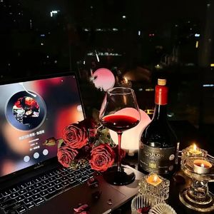 (车载电音）Remix