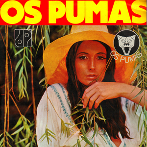 Dança de Carimbó / Bala de Rifle / Tia Luzia, Tio José