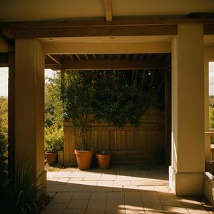 拨闷一作赠严二别驾