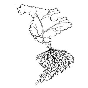 El amor llegará cuando abras los ojos.