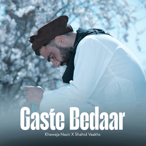Gaste Bedaar