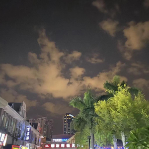 面具后的狼狈 只有月光能体会