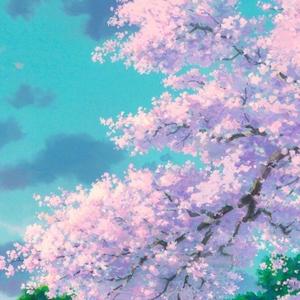 【已买断】Sakura