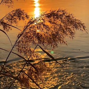 更好的健康和国家人口