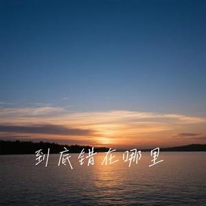到底错在哪里 (Cover 洋澜一)