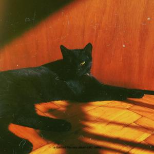 a ballad for my dear cat: ceku