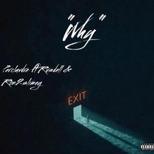 Why ? (feat. Acexro & Ron2slimey)