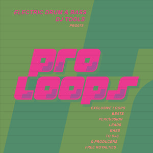 Electric Drum & Bass Bass 3 175