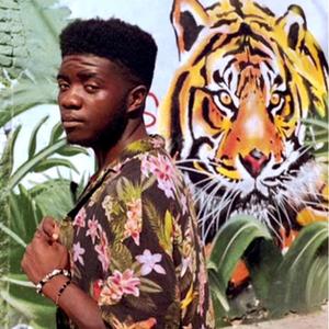 NightLight (feat. Matondo & Chandler)