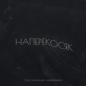 Наперекосяк
