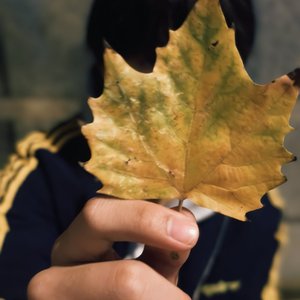 听_