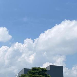 Thôi đừng buồn - Cho Qua