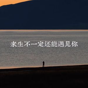 来生不一定还能遇见你