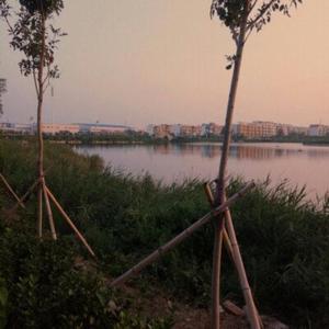 你就不要想起我