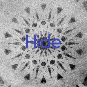 Hide