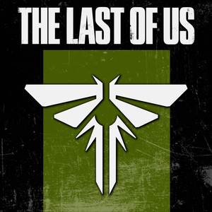 The Last of Us (Guitar cover)