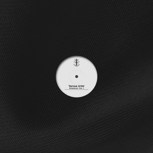 Flaying (Original Mix)
