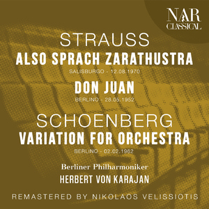 Variations For Orchestra, Op. 31, IAS 45:X. Variazione VIII: Sehr rasch