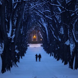 Echo of the Cold Bed