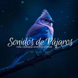 Regulación del Sueño