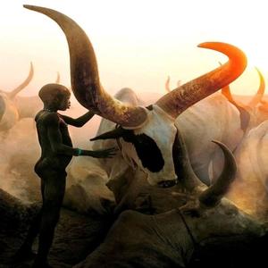 Inkanyezi