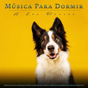 Música Relajante Para Perros