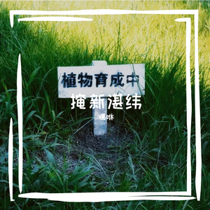 考侵岸挛紫狄