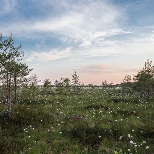一尘不染时刻印象数